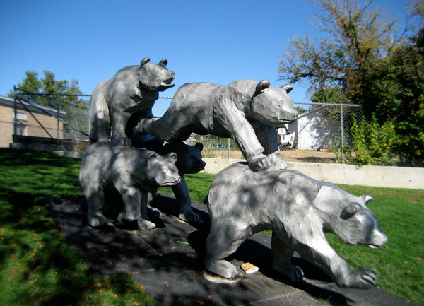 Bears Running Downhill